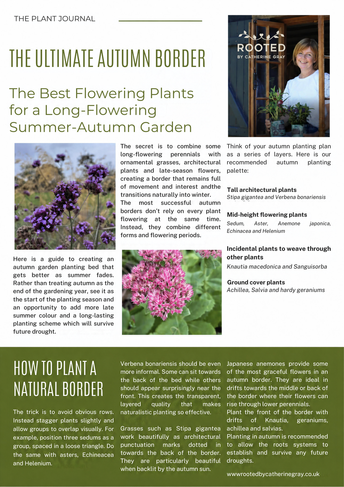 The best flowering plants for a long-flowering summer-autumn garden