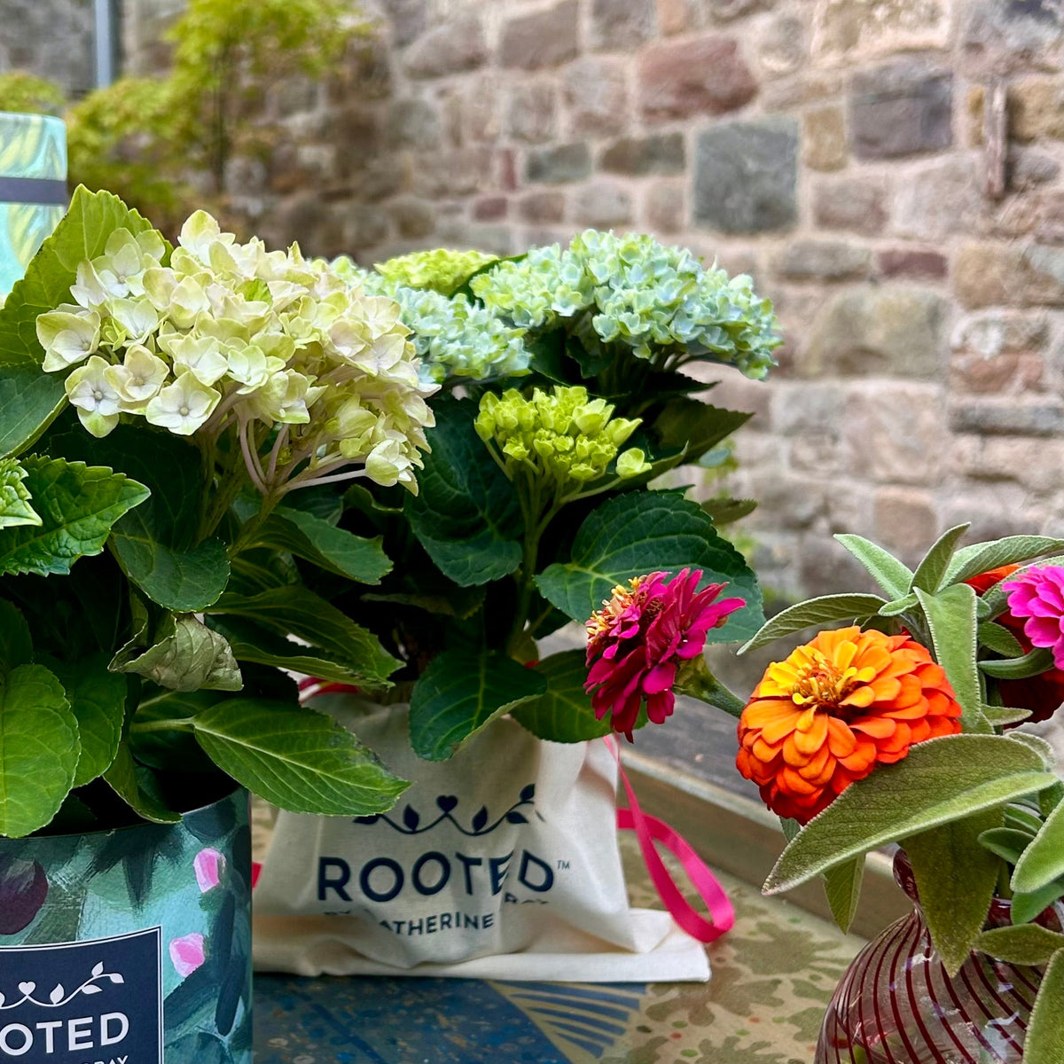 Plant Gifts